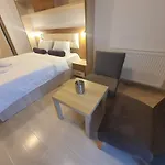 아파트 Garsoniera Matei Basarab 97 부쿠레슈티