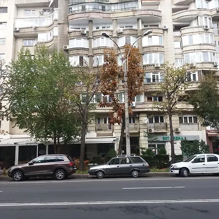 Апартаменты Garsoniera Matei Basarab 97